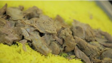 غذا های اصلی